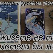 Вы Живете Не Там Где Хотели Бы Жить Гадание На Таро Карина Захарова