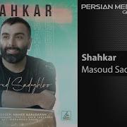 Masoud Sadeghloo