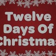 12 Day Of X Mas