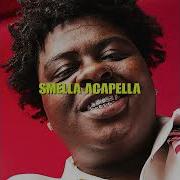 Bigxthaplug Acapella