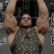 Hassan Mostafa Arm Workout