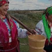 Зоряниця Цвите Цвите Черемшина