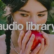 Sweetheart Zayfall No Copyright Music