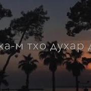 Са Нана Мичахь Ю Са Дада Мичахь Ву