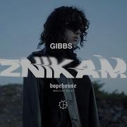 Gibbs Znikam