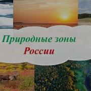 Природные Зоны России 4 Класс Окружающий Мир