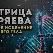 Петр Гаряев Исцеляющая Музыка