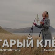Старый Клен Кавер