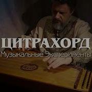 Необычный Музыкальный Инструмент Цитра Красивое Звучание