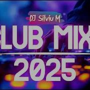 Party Mix 2025 Mixed By Dj
