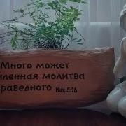 Я Молюсь За Тебя Не Могу