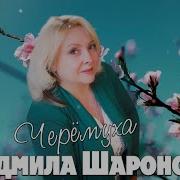 Людмила Шаронова Черемуха