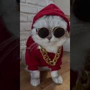 Я Хочу Быть Как Джиган Анютка