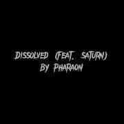 Dissolved С Каким Ты Там Попугаем Тр Хал Мою Дочь Remix By Pharaon