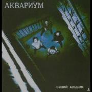 Электрический Пёс Аквариум