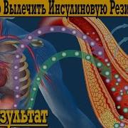 Метаболический Синдром Алексей Ворон