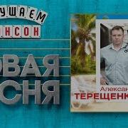 Новая Песня 2020 Александр Терещенко Жизнь Моя Серая