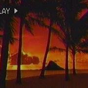 Ｅｔｅｒｎａｌ Ｐａｒａｄｉｓｅ A Tropical Vaporwave Fantasy