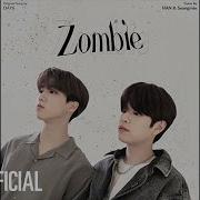 Han Seungmin Zombie Cover 원곡 Day6