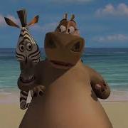 Dream World Madagascar Marty Birthday Alex Surprise Part 17