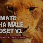 Ultimate Alpha Male Subliminal