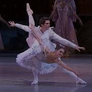 Pyotr Tchaikovsky Pas De Deux The Prince And The Sugar Plum Fairy