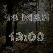 Здравствуй Дерево Мипо Дота 2