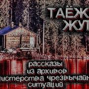 Жуткие Истории Про Тайгу