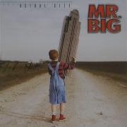 Shine Remastered Mr Big