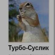 Аудио Книга Турбо Суслик