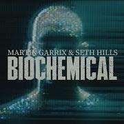 Martin Garrix Ft Seth Hills Biochemical