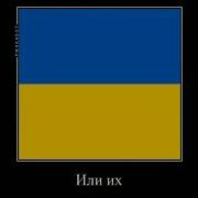Meme Кого Ты Блять Выберешь