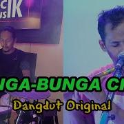 Download Musik Sulingg Bungga Bungga Cinta Elvi Sukaesih