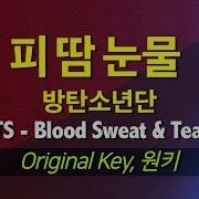 Bts Blood Sweat And Tears Karaoke