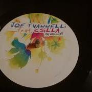Play With Vannelli Feat Csilla Joe T Vannelli