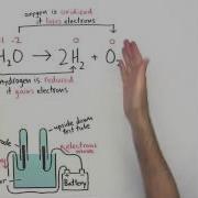 Electrolize