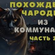 Колдун 2 Часть Страшная История