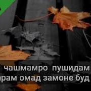 Хазон Резу Хазон Рез