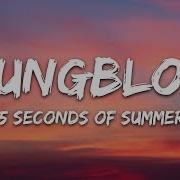 5 Seconds Of Summer Youngblood Lyrics 5Sos