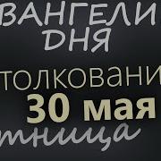 Дух Проповеди Православия Евангелие Дня