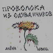 Одуванчики Алена Швец