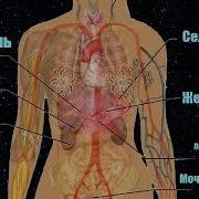 Три Причины Всех Болезней Малыш Байки