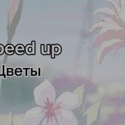 Шатунов Цветы Speed Up