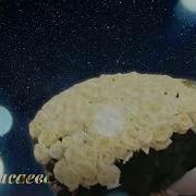 Хади Масаева Вуьту Хьо Везнарг