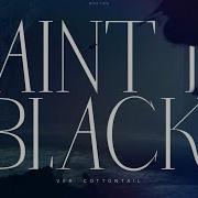 Cottontailva Paint It Black