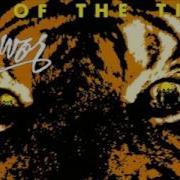 Eye Of The Tiger Survivor Instrumental