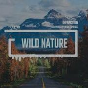 Acoustic Cinematic By Infraction No Copyright Music Wild Nature