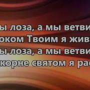 Ты Лоза А Мы Ветви В Венограднике Твоём Иисус