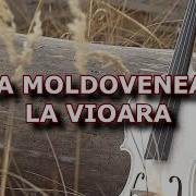 Vioara Moldoveneasca