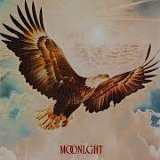 Fire Bird Moonlight